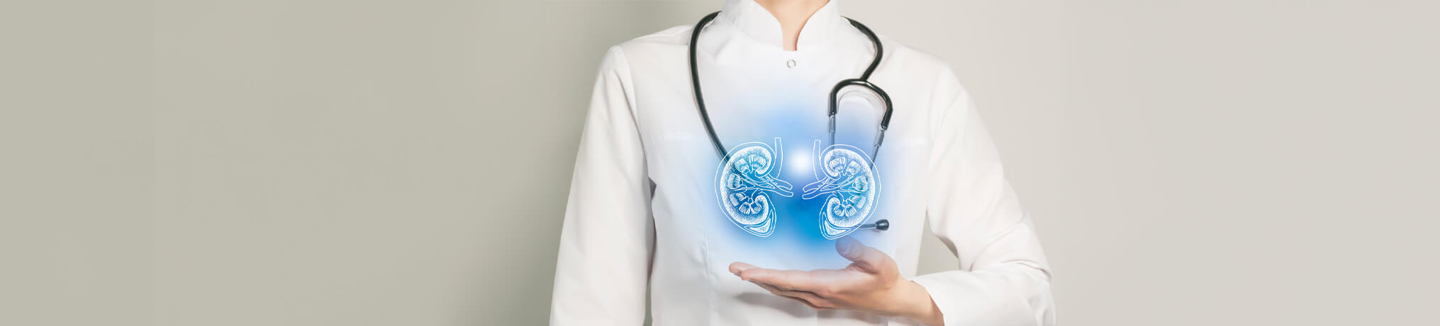 Digital image of kidneys overlayed on a nephrologist