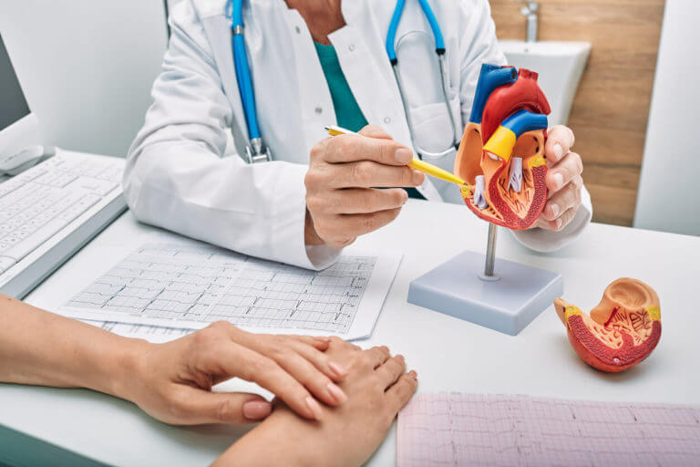 cardiologist while consultation showing anatomical model of human heart