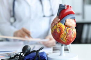 An artificial plastic model of the human heart is on the cardiologist's desk, explaining medical treatment for coronary artery disease to a patient.