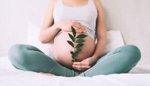 Pregnant woman holds green sprout plant near her belly as symbol of new life